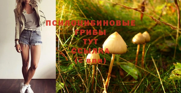 МДМА Арсеньев