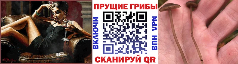 Галлюциногенные грибы ЛСД  Кирово-Чепецк 