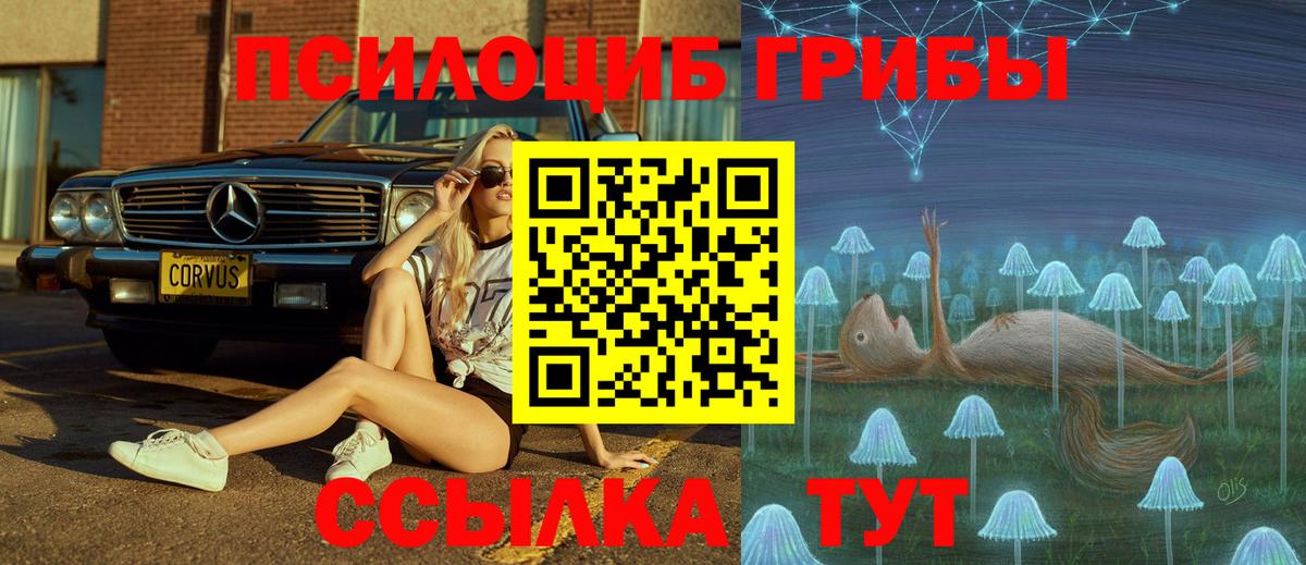 Галлюциногенные грибы Magic Shrooms  Псилоцибиновые грибы Psilocybine cubensis  Вход с VPN  Кирово-Чепецк 